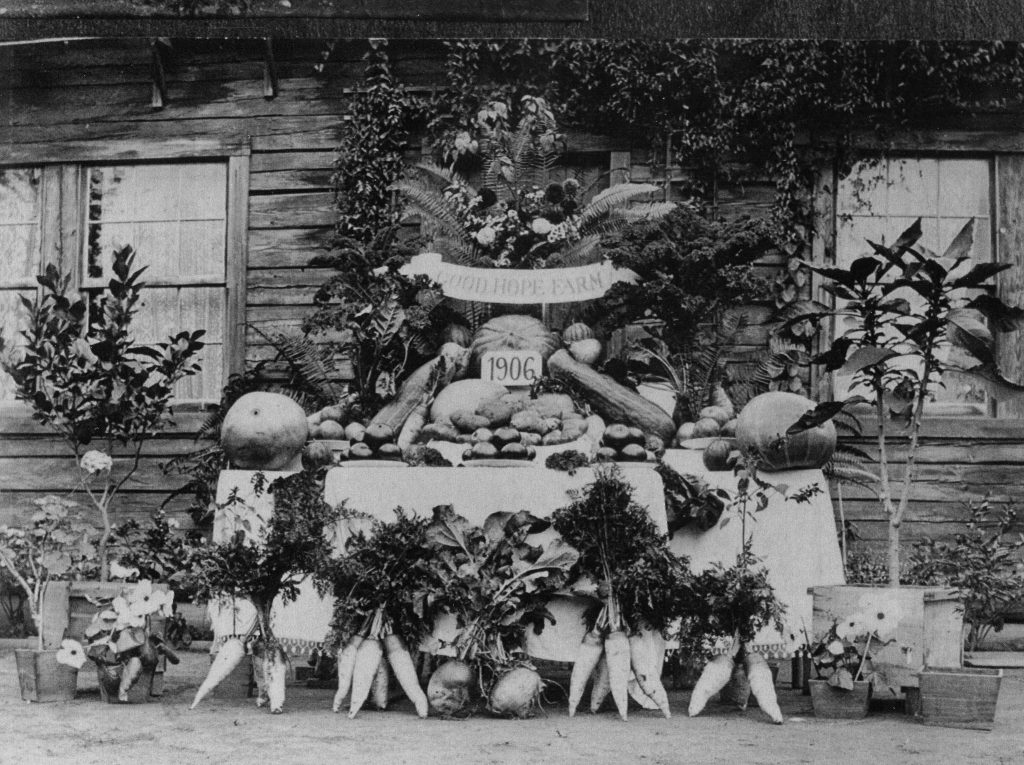 How Mill Bay Got Its Start MILL BAY / MALAHAT HISTORICAL SOCIETY