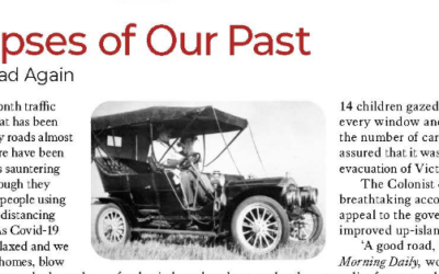 The June 2020 South Cowichan Life Magazine (PDF) is available online!